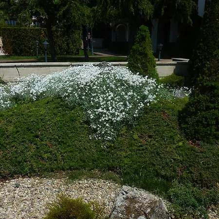 Apartment Private Sveti Vlas